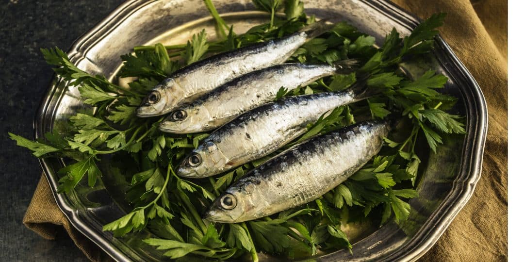 Paté de sardinas Receta fácil y beneficios para la salud